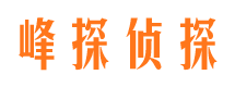 大宁市调查公司